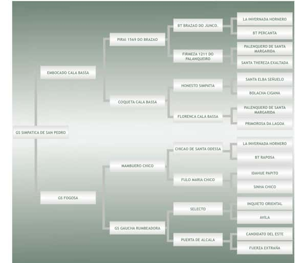 Lote GS SIMPATICA DE SAN PEDRO