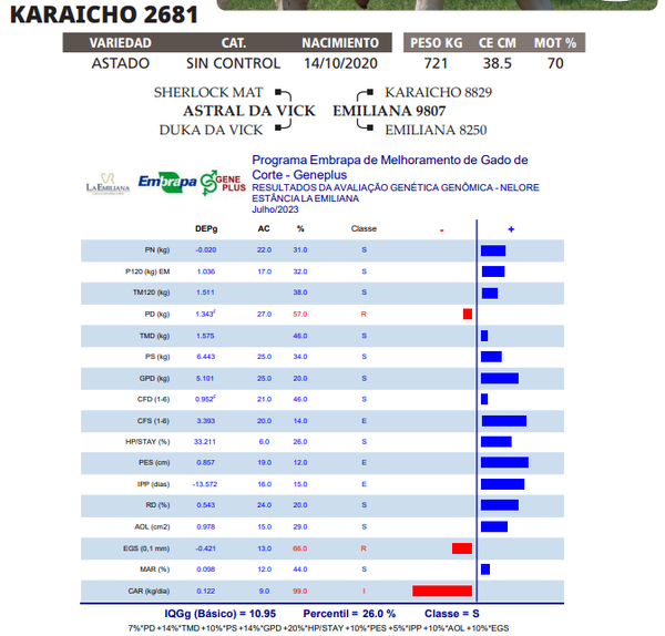 Lote LOTE 82