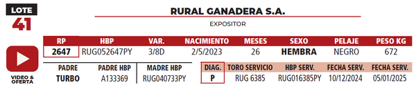 Lote LOTE 41