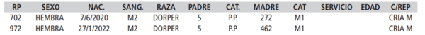 Lote LOTE 1