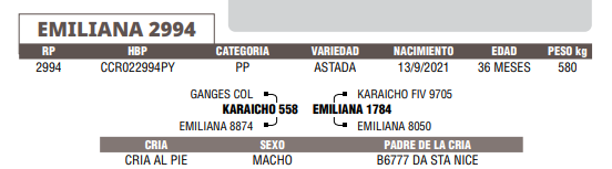 Lote LOTE 60