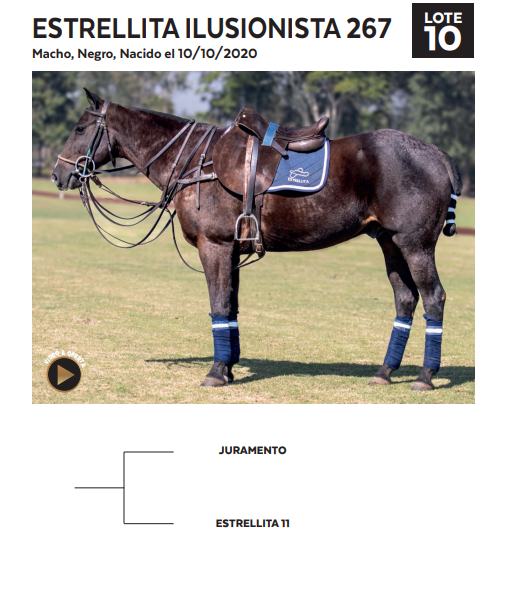Lote LOTE 10