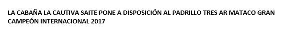 Lote CRIOLLOS - DONACION DE SERVICIOS  A BENEFICIO DE LA A.C.C.C.P EXPO INTERNACIONAL 2022  - LOTE 105
