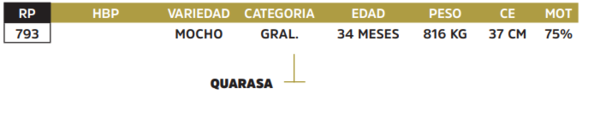 Lote LOTE 40