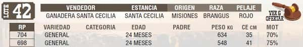 Lote LOTE 42 - EN VIVO