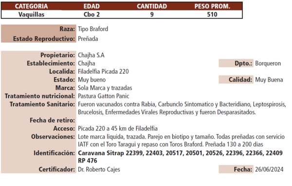 Lote LOTE B