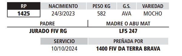 Lote LOTE 17