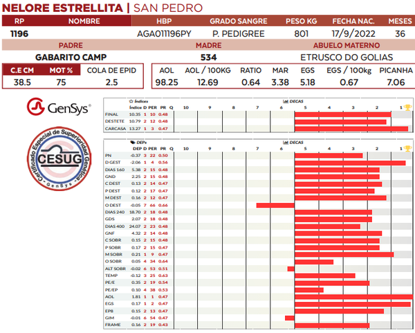 Lote LOTE 8