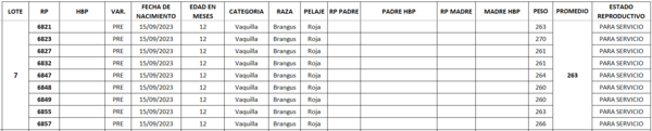 Lote LOTE 7