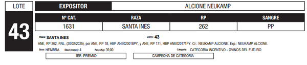 Lote LOTE 43