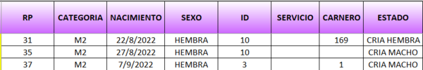 Lote LOTE 12