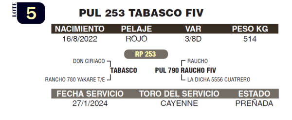 Lote LOTE 5