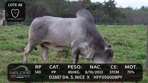 Lote LOTE 48