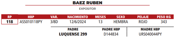 Lote LOTE 31