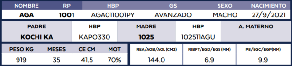 Lote LOTE 81