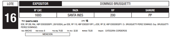 Lote LOTE 16