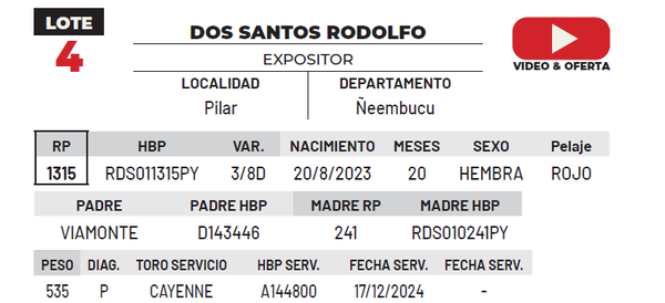 Lote LOTE 4