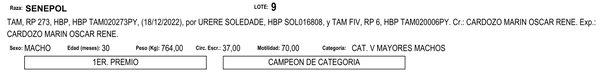 Lote LOTE 9