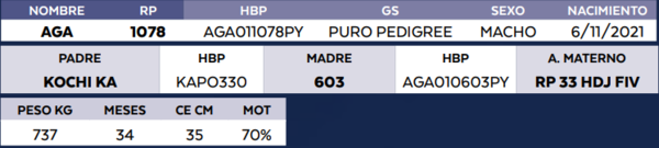 Lote LOTE 28