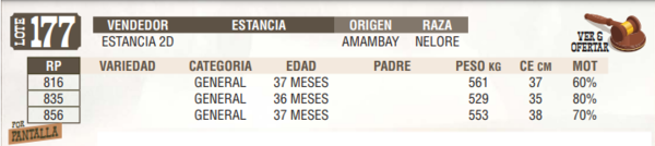 Lote LOTE 177