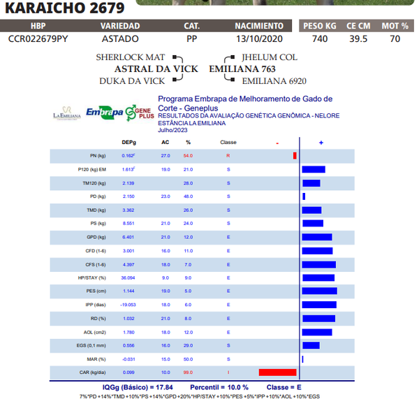 Lote LOTE 9