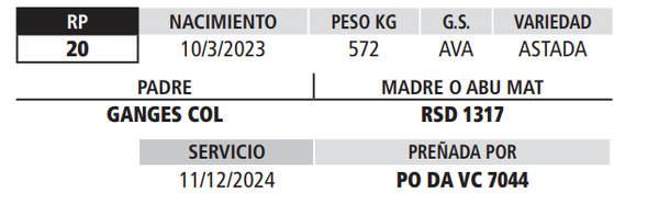 Lote LOTE 9