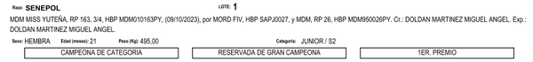 Lote LOTE 1