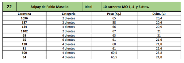 Lote 10 carneros MO 1, 4 y 6 dtes.