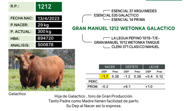 Lote Terneras PP