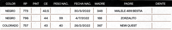 Lote "TRES MOLINOS" TOROS  P.C.