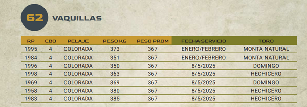 Lote LOTE 62
