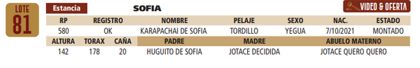 Lote LOTE 81