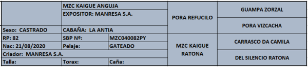 Lote LOTE 11