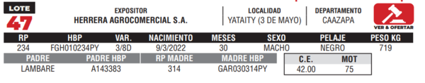 Lote LOTE 47- CAMPO