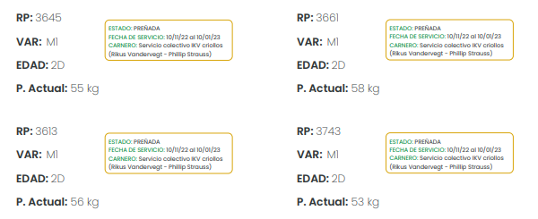 Lote LOTE 53