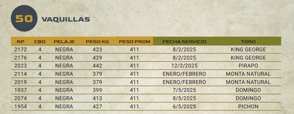 Lote LOTE 50