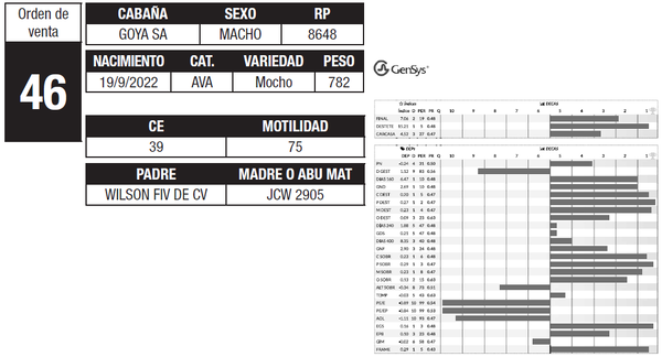 Lote LOTE 46