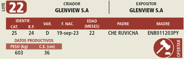 Lote LOTE 22
