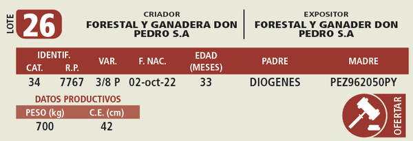 Lote LOTE 26