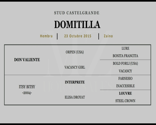 Lote DOMITILLA (DON VALIENTE - ITSY BITSY)