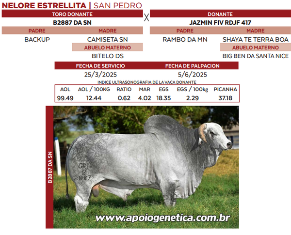 Lote LOTE 38