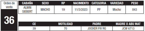 Lote LOTE 36