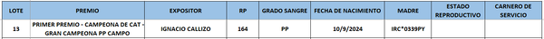 Lote LOTE 13