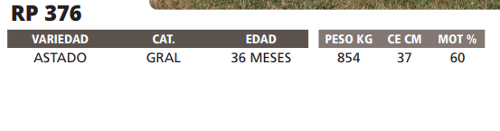 Lote LOTE 67