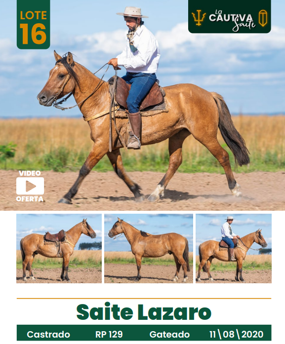 Lote LOTE 16
