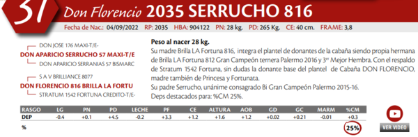 Lote MACHO PP