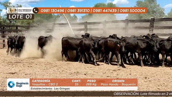 Lote ESTANCIA LAS GRINGAS