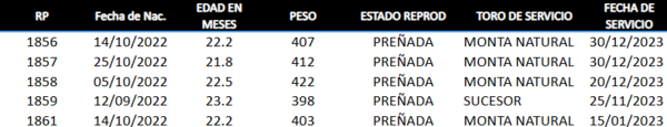 Lote LOTE 31