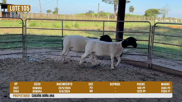 Lote LOTE 105