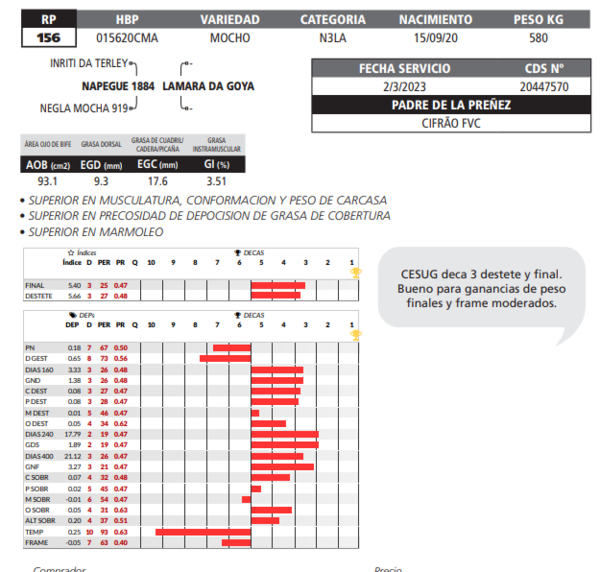 Lote LOTE 35